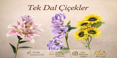 İkinci Yan Banner Resmi