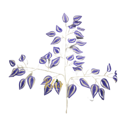 yapay-benjamin-yapragi-beyaz-damarli.png