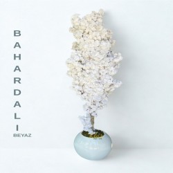 beyaz-bahardali.jpeg