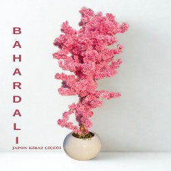 pembe-bahardali-agaci.jpeg