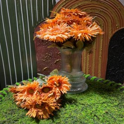 gerbera-demeti.jpeg