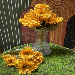 gerbera-demeti-2.jpeg